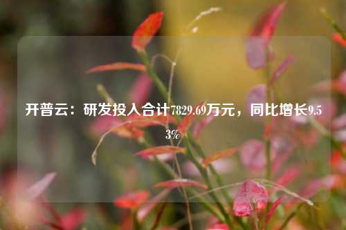 开普云：研发投入合计7829.69万元，同比增长9.53%-第1张图片-合肥慧帆商贸有限公司