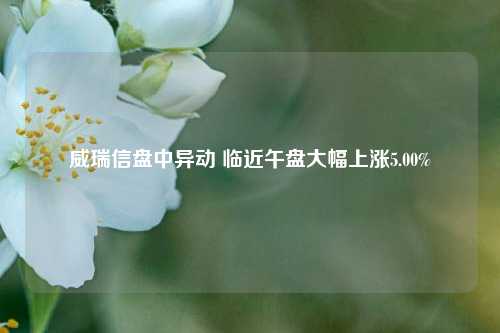 威瑞信盘中异动 临近午盘大幅上涨5.00%-第1张图片-合肥慧帆商贸有限公司