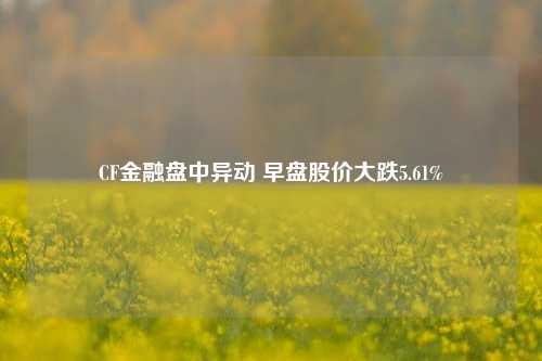 CF金融盘中异动 早盘股价大跌5.61%-第1张图片-合肥慧帆商贸有限公司