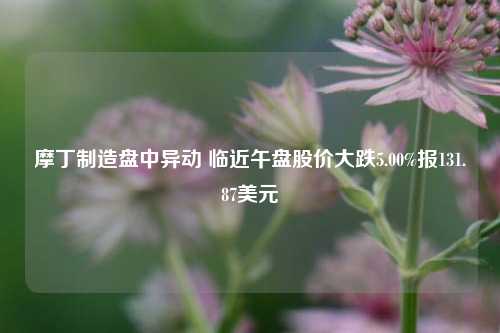 摩丁制造盘中异动 临近午盘股价大跌5.00%报131.87美元-第1张图片-合肥慧帆商贸有限公司