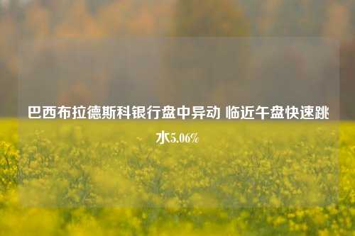 巴西布拉德斯科银行盘中异动 临近午盘快速跳水5.06%-第1张图片-合肥慧帆商贸有限公司