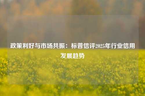 政策利好与市场共振：标普信评2025年行业信用发展趋势-第1张图片-合肥慧帆商贸有限公司