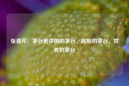 张德芹：茅台是中国的茅台、民族的茅台、世界的茅台-第1张图片-合肥慧帆商贸有限公司