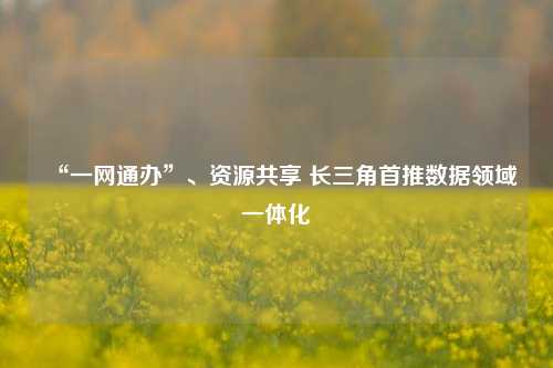 “一网通办”、资源共享 长三角首推数据领域一体化-第1张图片-合肥慧帆商贸有限公司