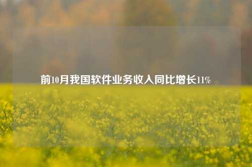 前10月我国软件业务收入同比增长11%-第1张图片-合肥慧帆商贸有限公司