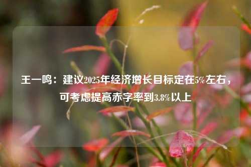 王一鸣：建议2025年经济增长目标定在5%左右，可考虑提高赤字率到3.8%以上-第1张图片-合肥慧帆商贸有限公司