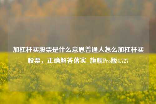 加杠杆买股票是什么意思普通人怎么加杠杆买股票，正确解答落实_旗舰Pro版4.727-第1张图片-合肥慧帆商贸有限公司