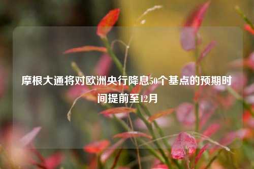 摩根大通将对欧洲央行降息50个基点的预期时间提前至12月-第1张图片-合肥慧帆商贸有限公司