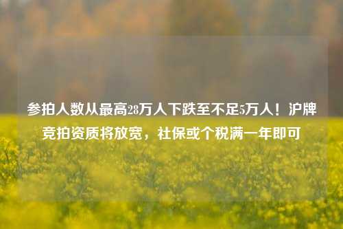 参拍人数从最高28万人下跌至不足5万人！沪牌竞拍资质将放宽，社保或个税满一年即可-第1张图片-合肥慧帆商贸有限公司