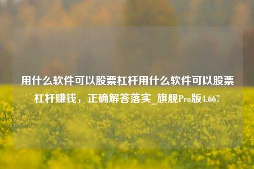 用什么软件可以股票杠杆用什么软件可以股票杠杆赚钱，正确解答落实_旗舰Pro版4.667-第1张图片-合肥慧帆商贸有限公司