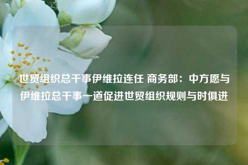 世贸组织总干事伊维拉连任 商务部：中方愿与伊维拉总干事一道促进世贸组织规则与时俱进-第1张图片-合肥慧帆商贸有限公司