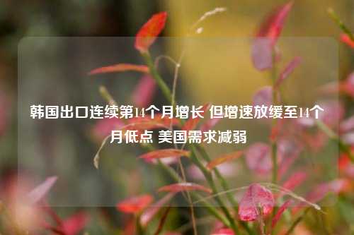 韩国出口连续第14个月增长 但增速放缓至14个月低点 美国需求减弱-第1张图片-合肥慧帆商贸有限公司