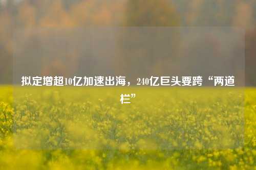 拟定增超10亿加速出海，240亿巨头要跨“两道栏”-第1张图片-合肥慧帆商贸有限公司