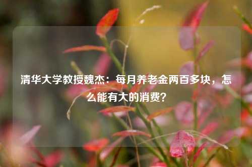 清华大学教授魏杰：每月养老金两百多块，怎么能有大的消费？-第1张图片-合肥慧帆商贸有限公司