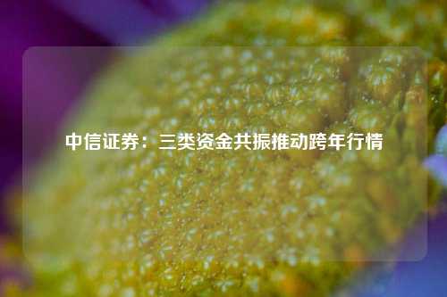 中信证券：三类资金共振推动跨年行情-第1张图片-合肥慧帆商贸有限公司