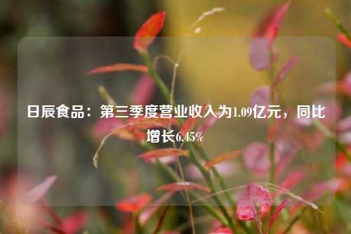 日辰食品：第三季度营业收入为1.09亿元，同比增长6.45%-第1张图片-合肥慧帆商贸有限公司