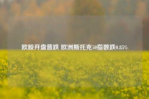 欧股开盘普跌 欧洲斯托克50指数跌0.85%-第1张图片-合肥慧帆商贸有限公司