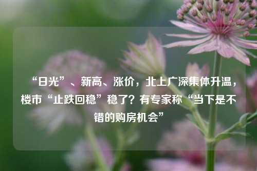 “日光”、新高、涨价，北上广深集体升温，楼市“止跌回稳”稳了？有专家称“当下是不错的购房机会”-第1张图片-合肥慧帆商贸有限公司