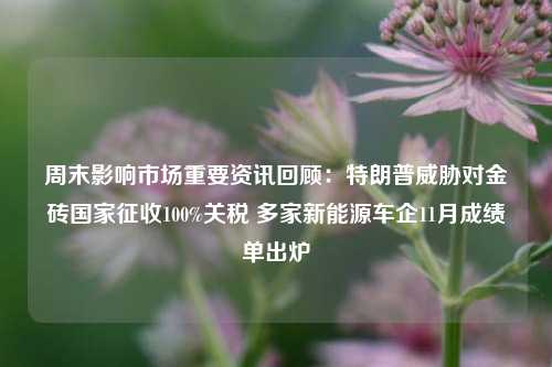 周末影响市场重要资讯回顾：特朗普威胁对金砖国家征收100%关税 多家新能源车企11月成绩单出炉-第1张图片-合肥慧帆商贸有限公司