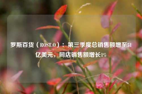 罗斯百货（ROST.O）：第三季度总销售额增至51亿美元，同店销售额增长1%-第1张图片-合肥慧帆商贸有限公司