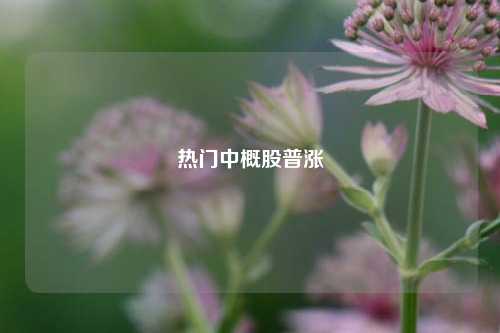 热门中概股普涨-第1张图片-合肥慧帆商贸有限公司