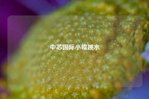 中芯国际小幅跳水-第1张图片-合肥慧帆商贸有限公司