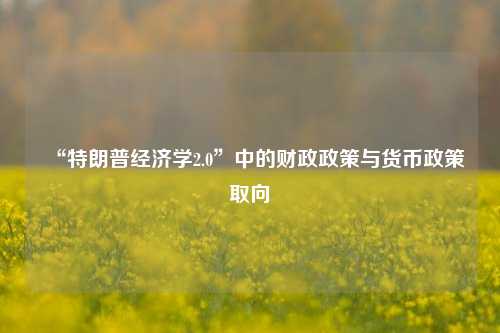 “特朗普经济学2.0”中的财政政策与货币政策取向-第1张图片-合肥慧帆商贸有限公司