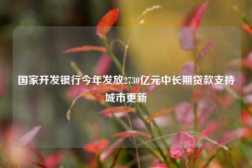 国家开发银行今年发放2730亿元中长期贷款支持城市更新-第1张图片-合肥慧帆商贸有限公司