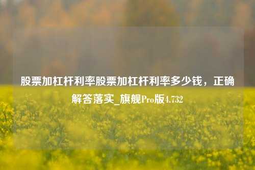 股票加杠杆利率股票加杠杆利率多少钱，正确解答落实_旗舰Pro版4.732-第1张图片-合肥慧帆商贸有限公司