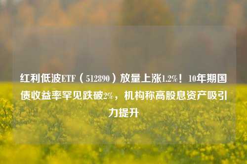 红利低波ETF（512890）放量上涨1.2%！10年期国债收益率罕见跌破2%，机构称高股息资产吸引力提升-第1张图片-合肥慧帆商贸有限公司