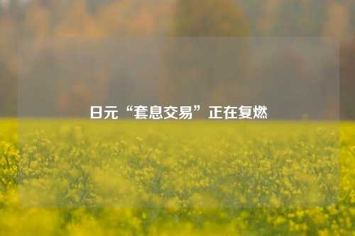 日元“套息交易”正在复燃-第1张图片-合肥慧帆商贸有限公司