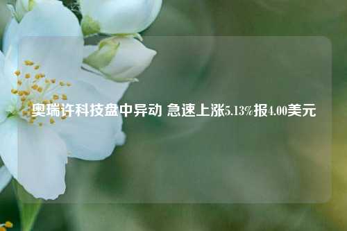 奥瑞许科技盘中异动 急速上涨5.13%报4.00美元-第1张图片-合肥慧帆商贸有限公司