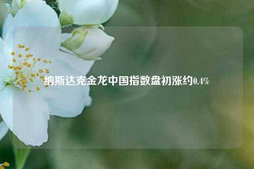 纳斯达克金龙中国指数盘初涨约0.4%-第1张图片-合肥慧帆商贸有限公司