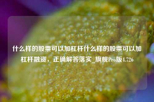 什么样的股票可以加杠杆什么样的股票可以加杠杆融资，正确解答落实_旗舰Pro版4.726-第1张图片-合肥慧帆商贸有限公司