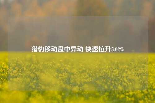 猎豹移动盘中异动 快速拉升5.02%-第1张图片-合肥慧帆商贸有限公司