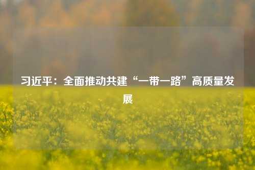 习近平：全面推动共建“一带一路”高质量发展-第1张图片-合肥慧帆商贸有限公司