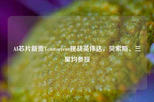 AI芯片新贵Tenstorrent挑战英伟达，贝索斯、三星均参投-第1张图片-合肥慧帆商贸有限公司