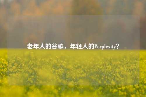 老年人的谷歌，年轻人的Perplexity？-第1张图片-合肥慧帆商贸有限公司