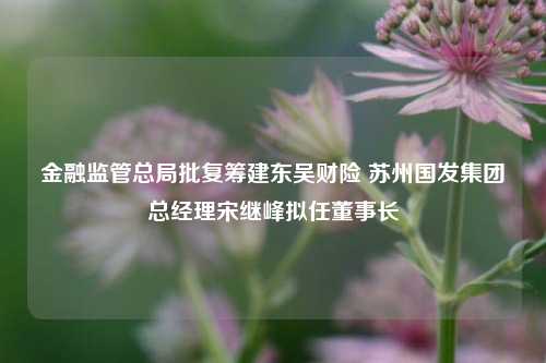 金融监管总局批复筹建东吴财险 苏州国发集团总经理宋继峰拟任董事长-第1张图片-合肥慧帆商贸有限公司