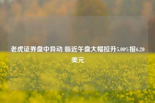 老虎证券盘中异动 临近午盘大幅拉升5.00%报6.20美元-第1张图片-合肥慧帆商贸有限公司