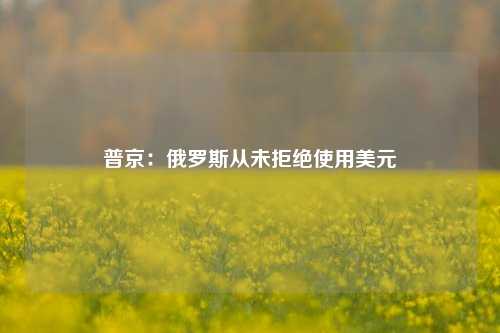 普京：俄罗斯从未拒绝使用美元-第1张图片-合肥慧帆商贸有限公司