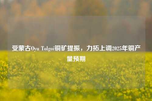 受蒙古Oyu Tolgoi铜矿提振，力拓上调2025年铜产量预期-第1张图片-合肥慧帆商贸有限公司