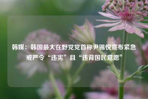 韩媒：韩国最大在野党党首称尹锡悦宣布紧急戒严令“违宪”且“违背国民意愿”-第1张图片-合肥慧帆商贸有限公司