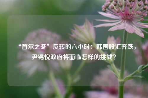 “首尔之冬”反转的六小时：韩国股汇齐跌，尹锡悦政府将面临怎样的挑战？-第1张图片-合肥慧帆商贸有限公司