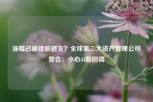 涨幅已被提前透支？全球第二大资产管理公司警告：小心AI股回调-第1张图片-合肥慧帆商贸有限公司