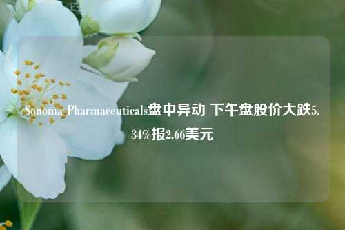 Sonoma Pharmaceuticals盘中异动 下午盘股价大跌5.34%报2.66美元-第1张图片-合肥慧帆商贸有限公司