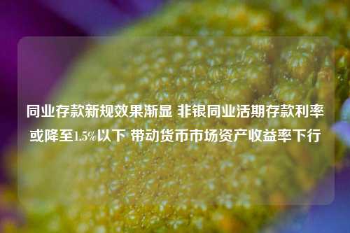 同业存款新规效果渐显 非银同业活期存款利率或降至1.5%以下 带动货币市场资产收益率下行-第1张图片-合肥慧帆商贸有限公司