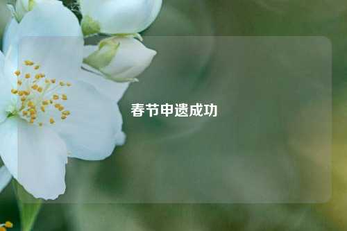 春节申遗成功-第1张图片-合肥慧帆商贸有限公司