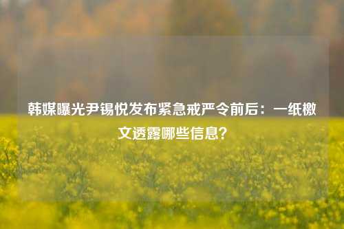 韩媒曝光尹锡悦发布紧急戒严令前后：一纸檄文透露哪些信息？-第1张图片-合肥慧帆商贸有限公司