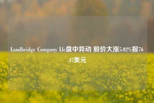 Landbridge Company Llc盘中异动 股价大涨5.02%报76.47美元-第1张图片-合肥慧帆商贸有限公司